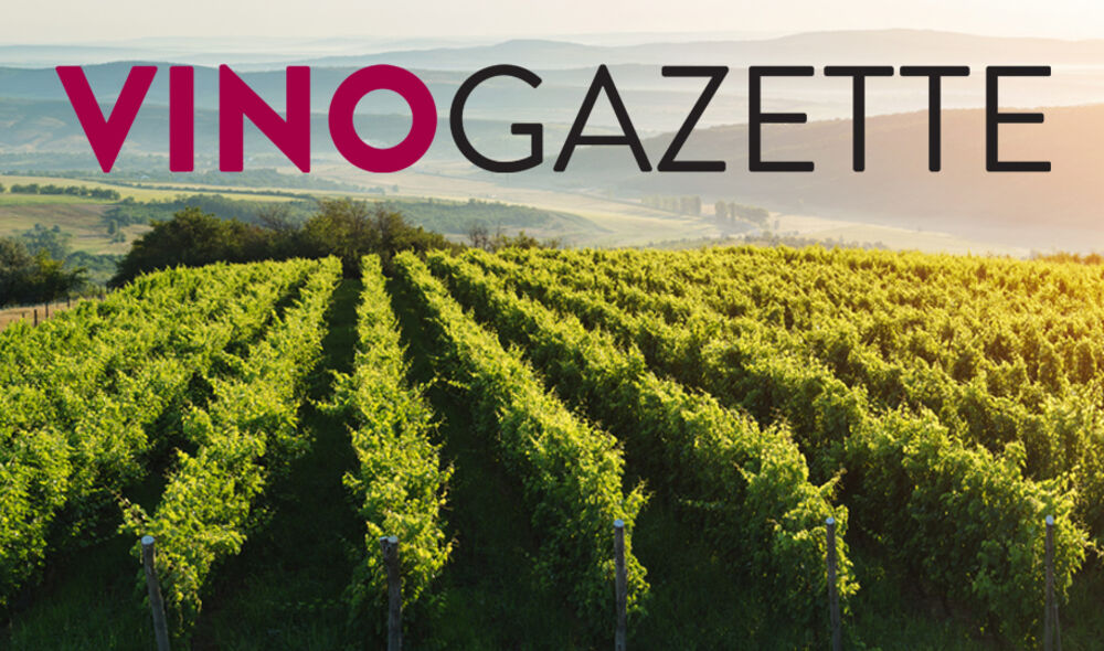 The Vino Gazette - February Issue 2019