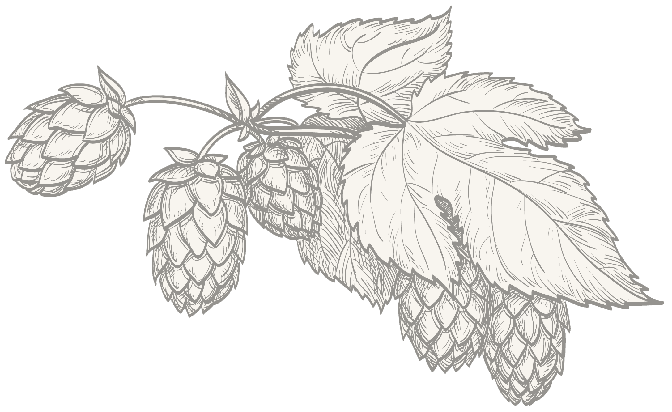 blockquote background