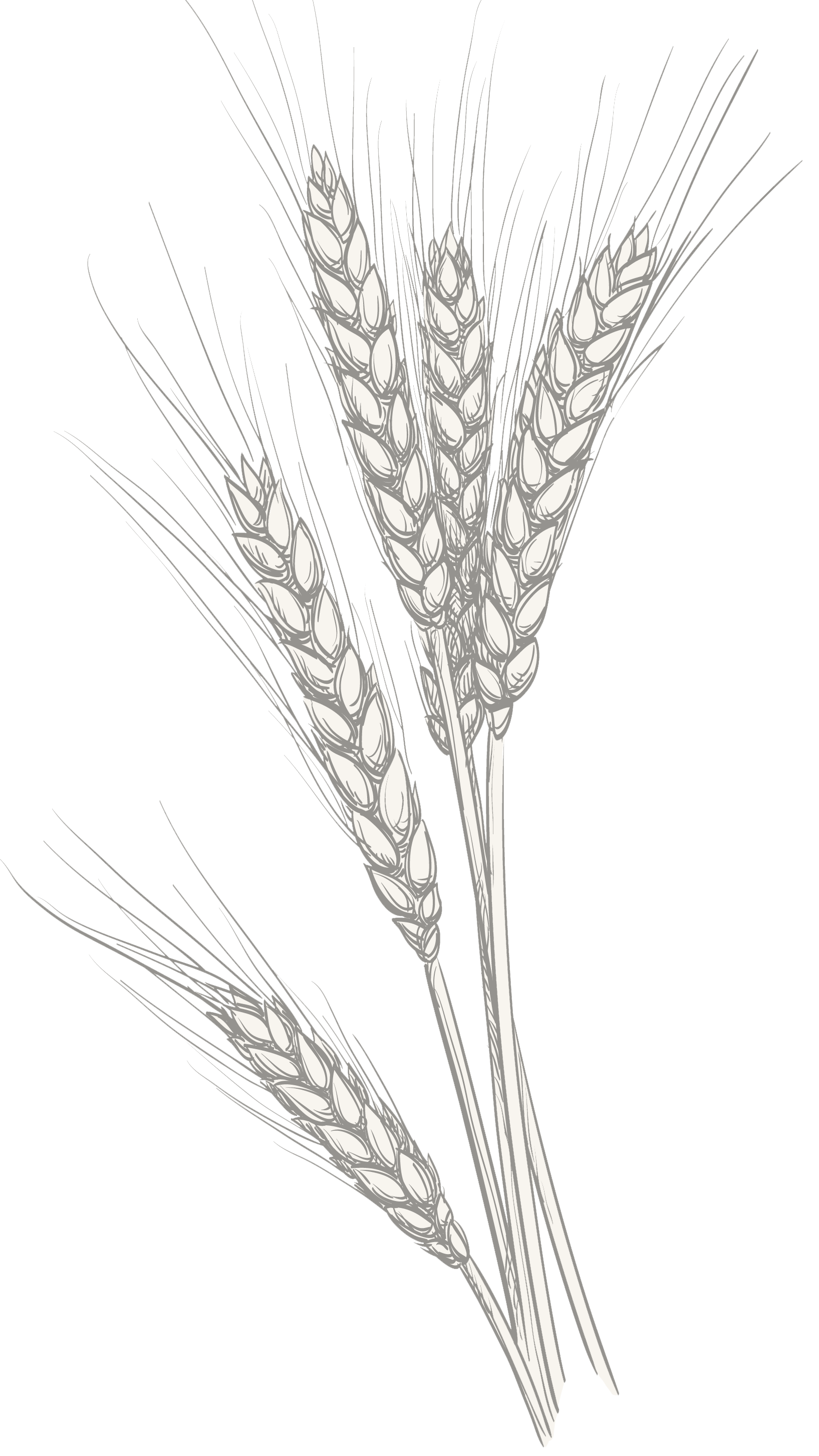 Customers Background